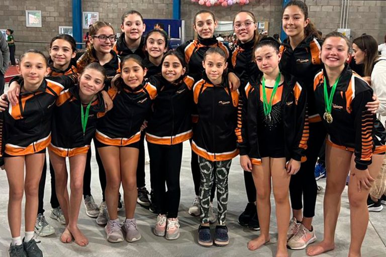 El equipo piquense brilla en el Torneo Regional de Gimnasia Artística en Plottier