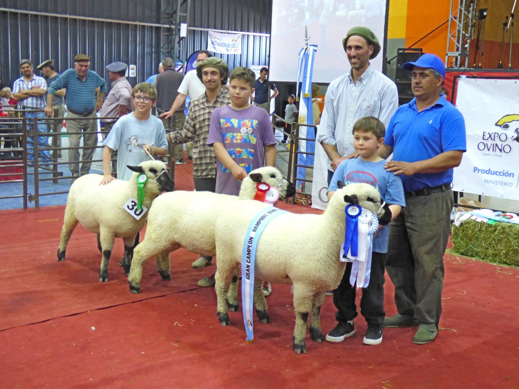 La 19° Expo Ovino en Alpachiri repitió el éxito de ediciones anteriores