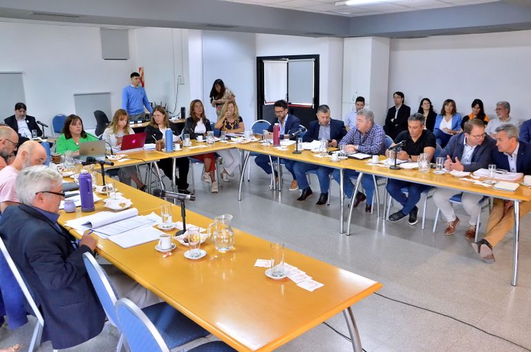 Dictamen favorable en Diputados para la Ley Impositiva para el 2024