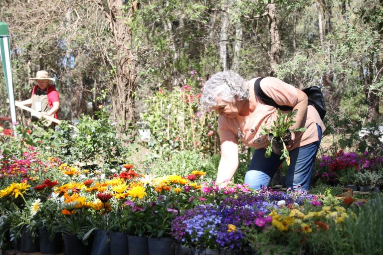 Comenzó la Expo Verde en La Rural, una gran propuesta para disfrutar este domingo