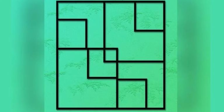 Reto visual del día: descubrí cuántos cuadrados hay en la imagen