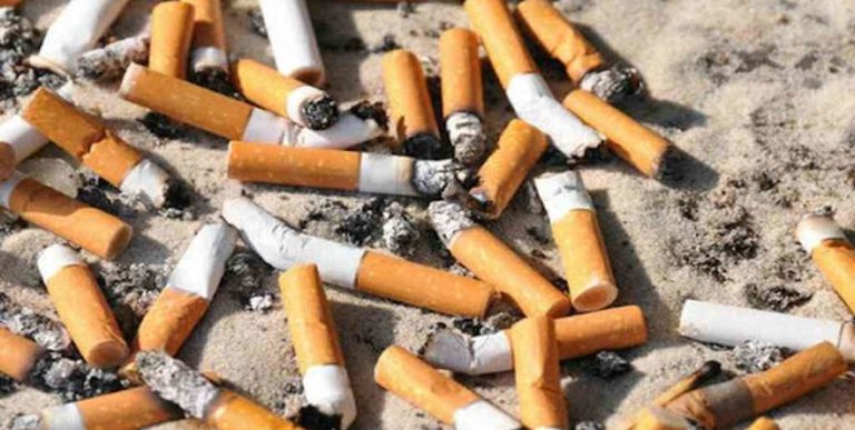 Jornada libre de “humo” y “colillas”