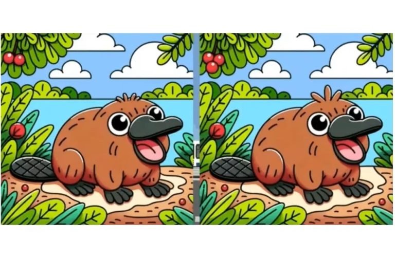 RETO VISUAL: Poné a prueba tu visión y descubrí las 3 diferencias en la imagen