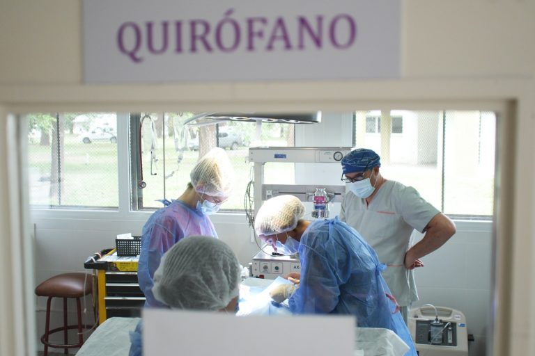 Realizaron más de 48 castraciones gratuitas entre el municipio y el hospital escuela de la facultad de Veterinarias