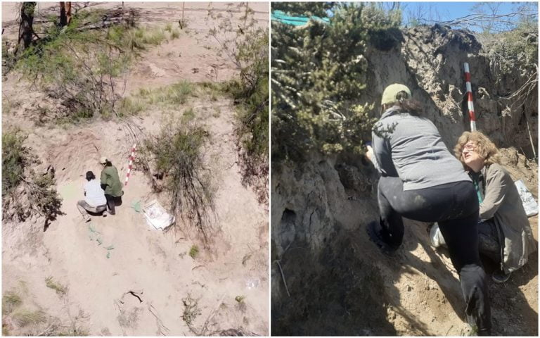 Hallazgo de cráneo en un campo de Telén: se trataría de un enterratorio ancestral