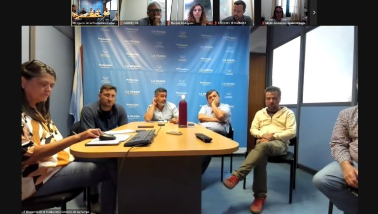 Encefalomielitis Equina: dio negativo el caso sospechoso en Acha