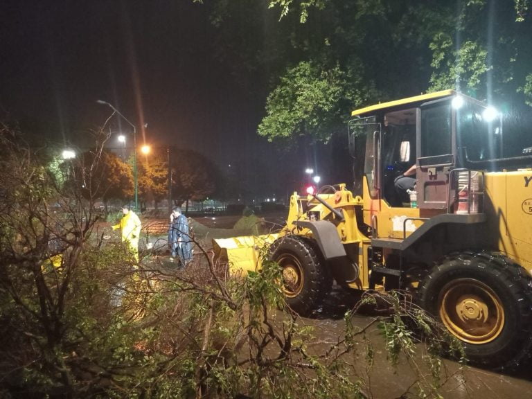 Intenso trabajo del municipio tras la fuerte tormenta desatada en la tarde del sábado