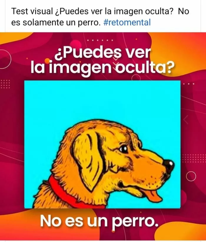 Reto visual: el desafío que solo los expertos con ojo de halcón pueden resolver