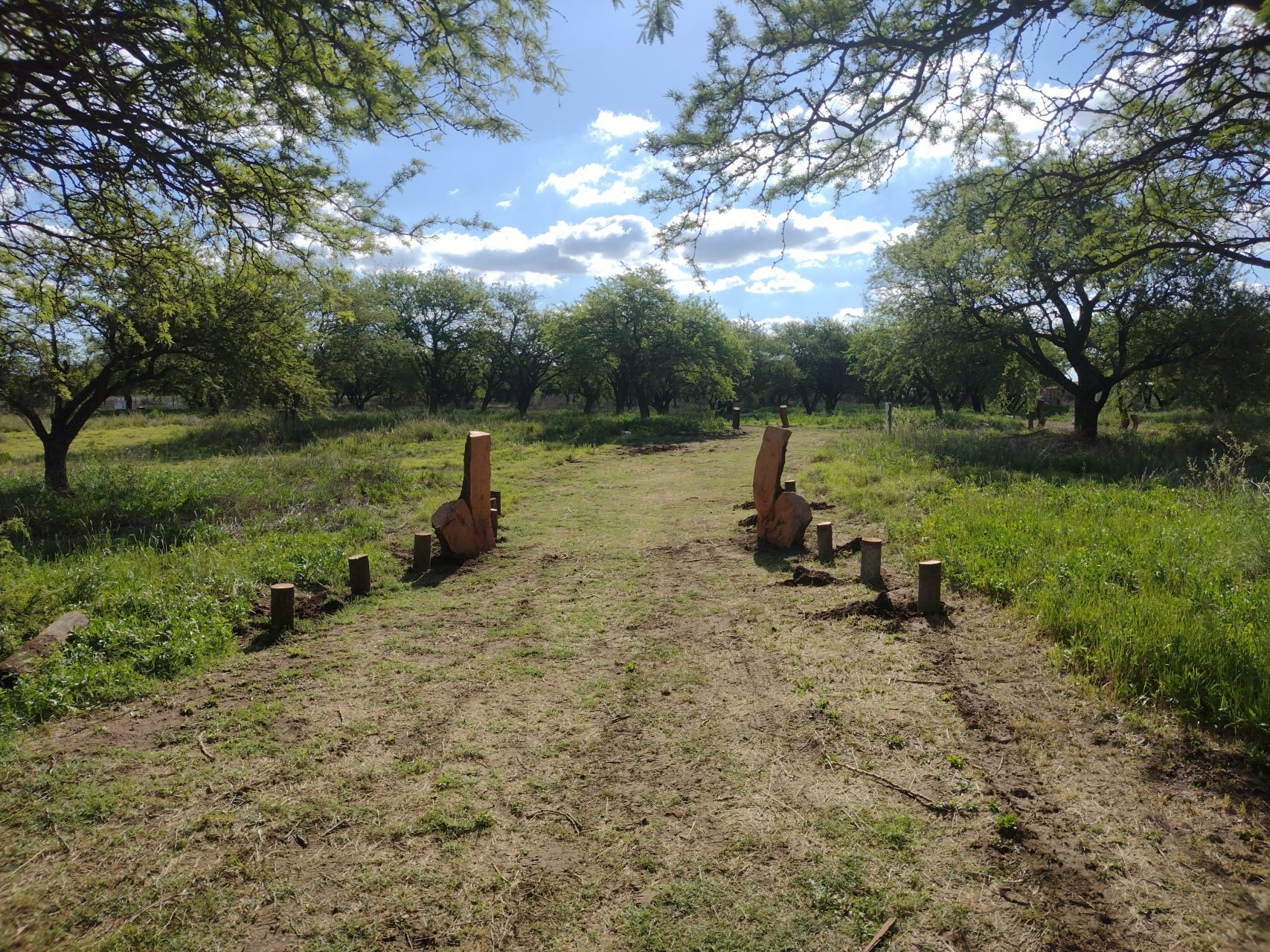 Realicó avanza en conservación: inauguración de la Reserva Urbana “Parque de la Flora Autóctona” en 2023