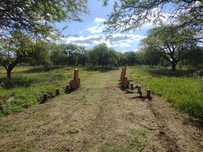 Realicó avanza en conservación: inauguración de la Reserva Urbana “Parque de la Flora Autóctona” en 2023