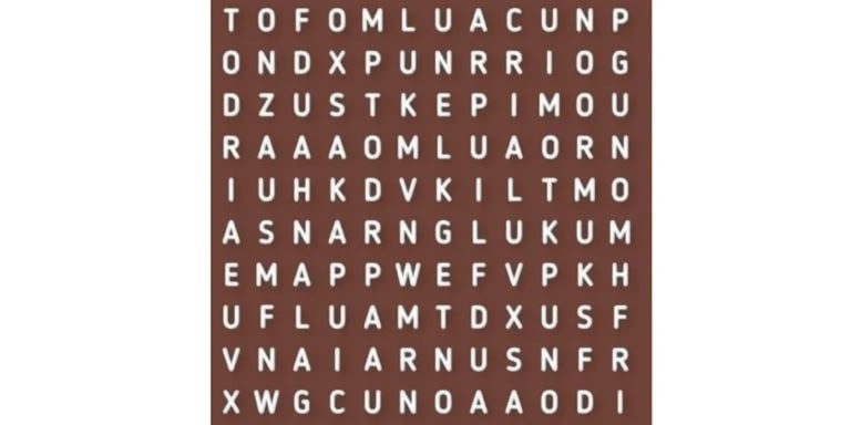 Reto visual del día: encontrá la palabra “CAMELLO” en esta complicada sopa de letras