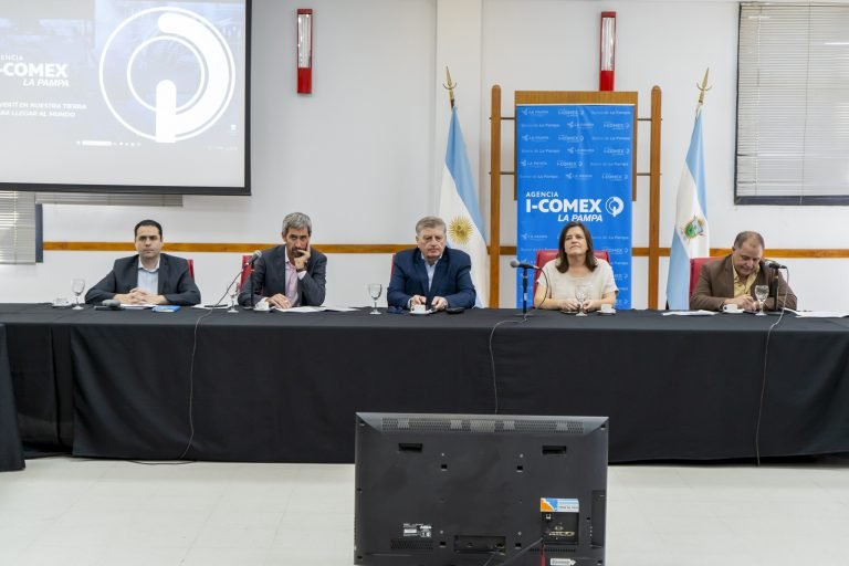 Ziliotto ante el Consejo Asesor de I-COMEX: “Vamos a seguir interviniendo en la economía, pero cambiaron las prioridades”