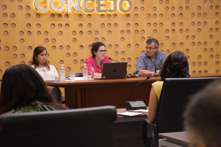 Secretaría de Desarrollo Social defendió ante el Concejo Deliberante su presupuesto de más de $2.600 millones: “buscaremos seguir apuntalando los servicios como Género y Unidad Local de Niñez”