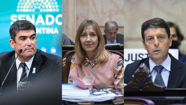 Legisladores pampeanos del PJ presentaron un pedido de informes al Ejecutivo sobre la probable estatización de deuda del sector importador