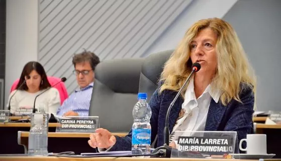 Jury por caso Lucio Dupuy: los argumentos de la diputada Larreta, la única que voto en disidencia para la destitución