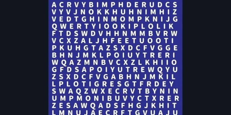 Reto visual del día: encontrá la palabra TIGRES en esta complicada sopa de letras
