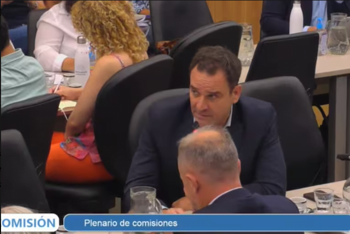 “La Ley Ómnibus, tal cual está, es nuestro certificado de defunción”, afirmó Tomás Lorda, presidente de Cepreb, en el Plenario de Comisiones