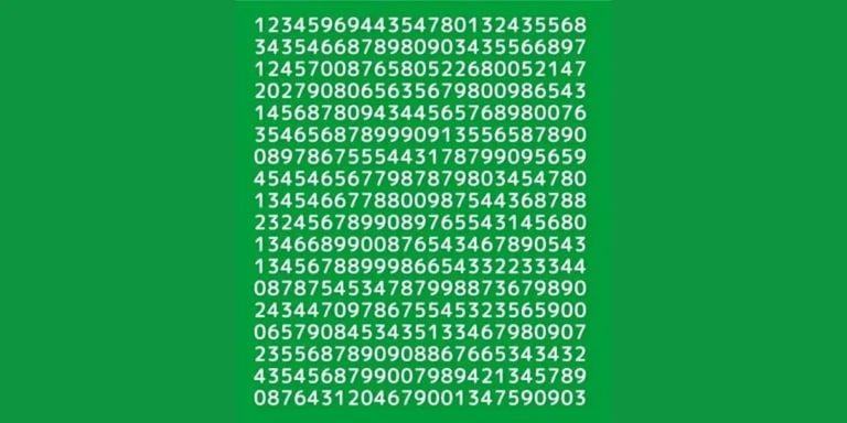 Reto visual del día: encontrá el número 2024 oculto en menos de 10 segundos