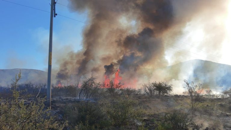 En el Parque Nacional Lihué Calel se reactivó el incendio que comenzó el viernes