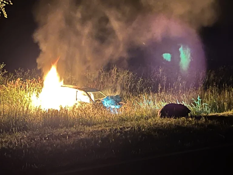 Embistió un vacuno, se despistó, el auto se incendió, pero salió ilesa de milagro