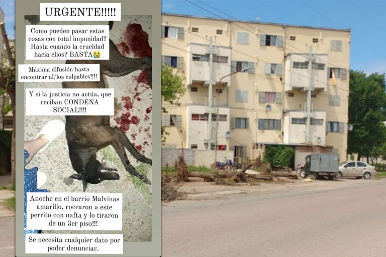 Hay un notificado por el asesinato del perro en el barrio Malvinas amarillo