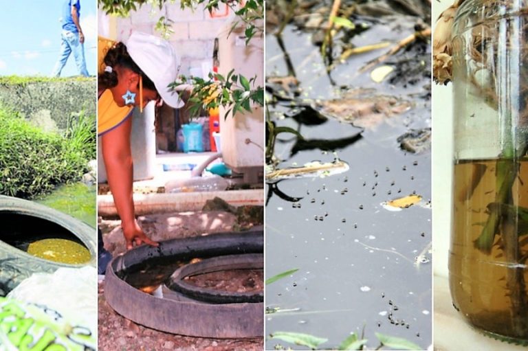 General Pico intensifica esfuerzos para combatir al mosquito Aedes aegypti y prevenir el dengue