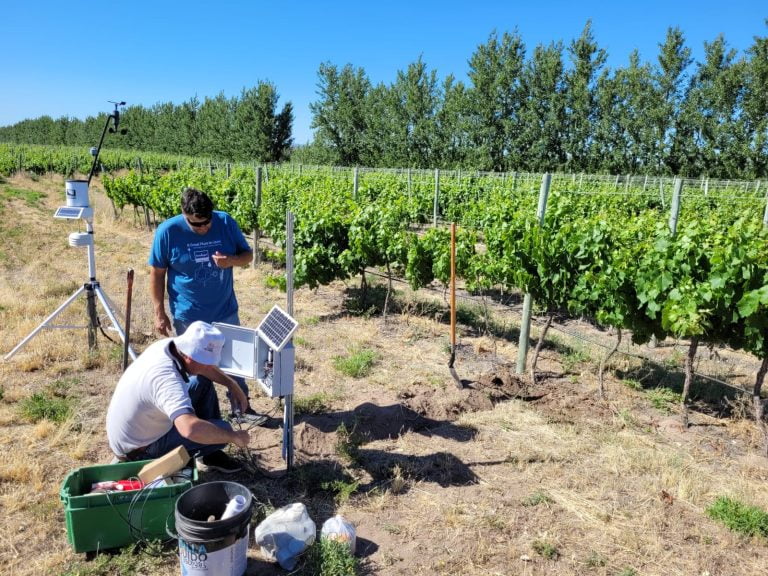 Río Colorado: Ya está en marcha el proyecto “Megres” que evalúa cuanta agua se usa para el riego