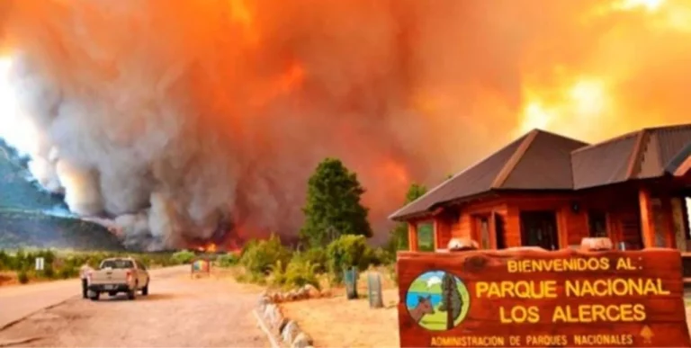 Chubut le pidió colaboración al FBI para investigar los incendios que ya quemaron 8 mil hectáreas en el parque nacional Los Alerces