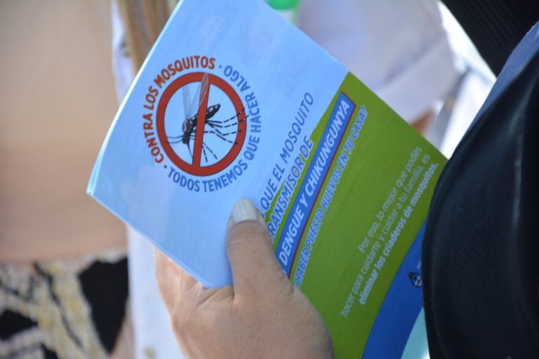Dengue autóctono en aumento: ya son 86 los casos de pampeanos que no presentan antecedente de viaje
