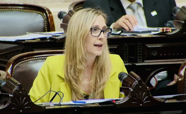 “Es algo inédito que un oficialismo lleve al recinto una ley que no tiene acordado ni siquiera el corazón de dicha ley”, expresó Varinia Marín