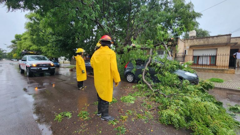 Incidente en medio de la tormenta: árbol causó daños en un vehículo estacionado