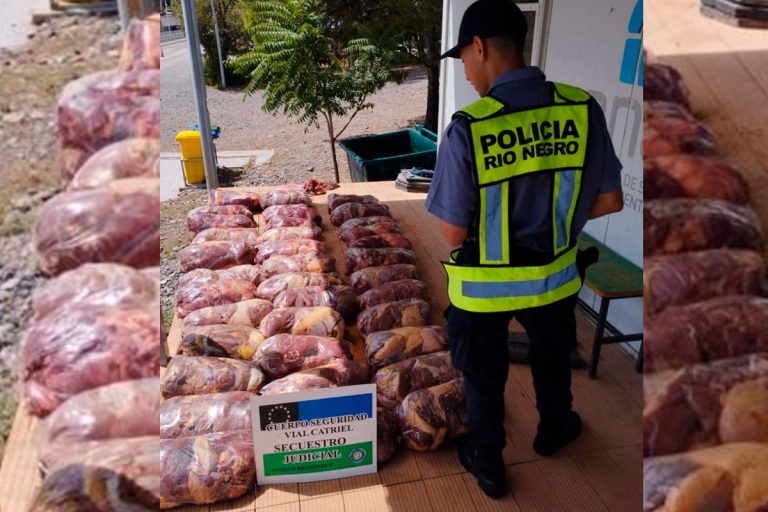 Evadió un control y lo atraparon llevando más de 400 kilos de carne de caballo de La Pampa a Neuquén