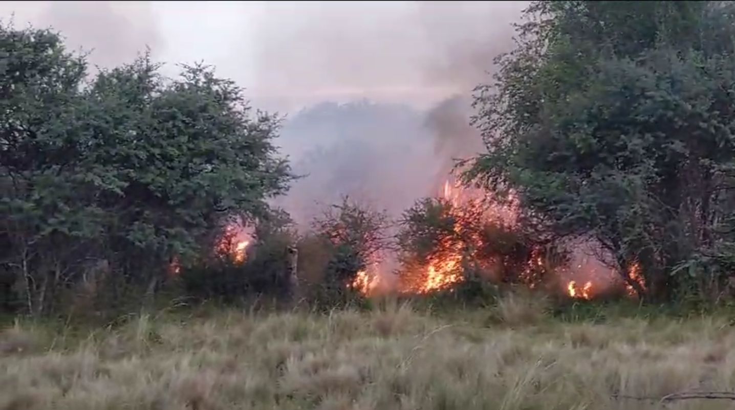 Bomberos Voluntarios de General Pico se sumaron al intenso incendio cerca de la localidad de Rancul