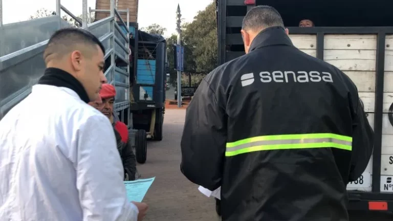 SENASA decomisó 600 kilos de costillares que iban de La Pampa a Neuquén