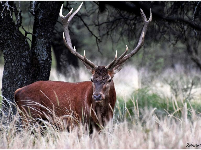 Caída de reservas y baja ocupación preocupan al sector turístico en La Pampa
