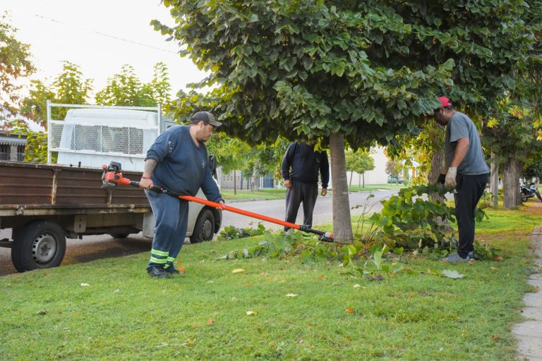 Durante la última semana se realizó el mantenimiento de espacios públicos de General Pico