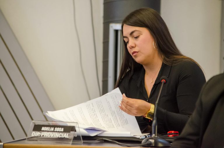 Fuerte interna en el PJ: La diputada “vernista” Noelia Sosa acusa al Ejecutivo de violar la ley de regalías por “El Medanito”