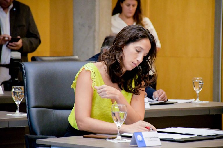 General Pico: presentarán en el Concejo Deliberante proyectos sobre el cuidado animal y el armado de un consejo consultivo para generar espacios participativos 