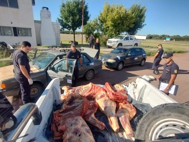 Incautan cortes de ciervo colorado en operativo contra la caza furtiva en La Pampa