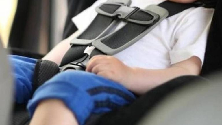 Neuquén: murió el nene que quedó encerrado en el auto de su padre durante 6 horas