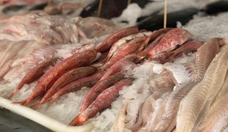 Consejos para el consumo seguro de productos de la pesca durante Semana Santa