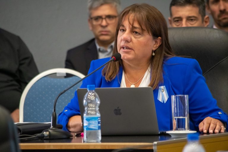 “El costo de no escuchar”: el Bloque PRO-MID fija postura tras el fracaso de la licitación de El Medanito