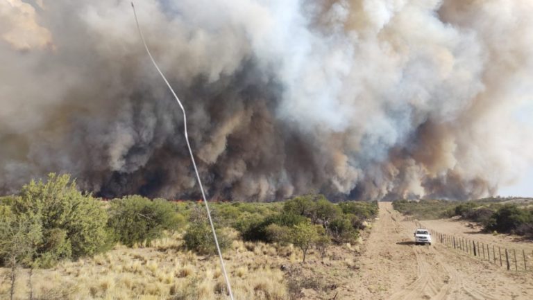 La Pampa enfrentó la temporada de incendios 2023-2024 con significativa reducción en áreas afectadas y focos ígneos