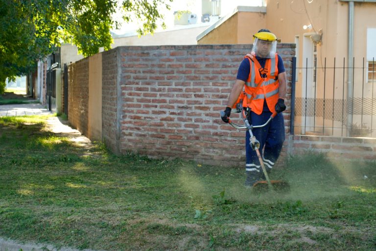 Mañana realizarán una jornada de limpieza intensiva en Trebolares