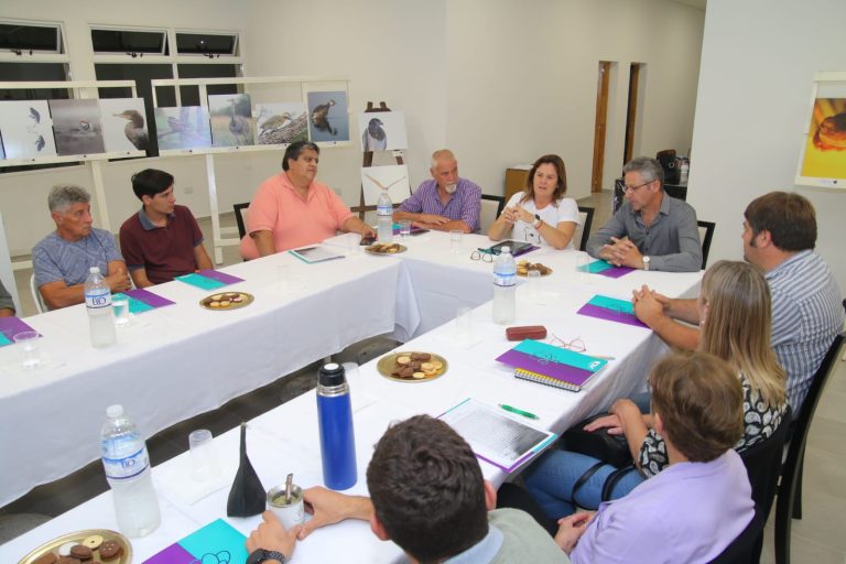 Fernanda Alonso fue designada por los intendentes de la Microregión II como máxima autoridad