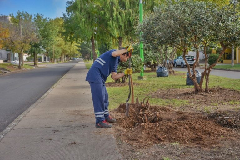 El municipio implementó un programa para mejorar espacios verdes, plazas y parques