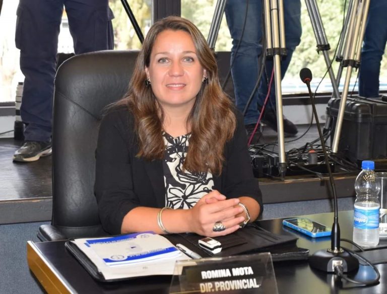 “De 100 proyectos presentados en la Cámara, 80 son de la oposición y desde el radicalismo solicitamos que se cumpla con la ley y que en las comisiones se mantengan las paridades”, manifestó Romina Mota