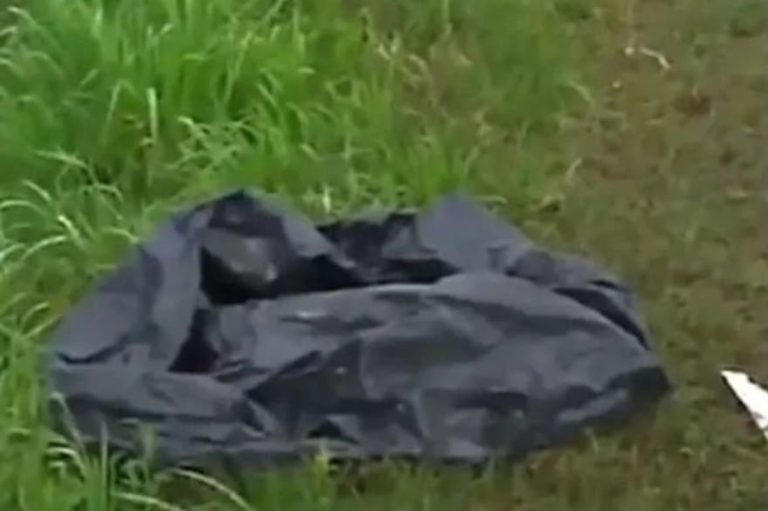 Abandonaron a un bebé dentro de una bolsa en José C. Paz, unos perros lo arrastraron hacia la calle y un auto lo piso