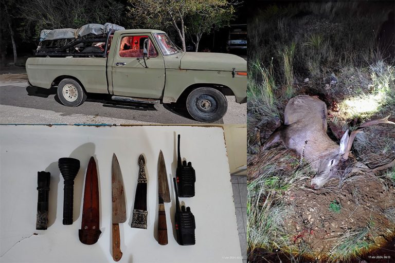 Operativo policial descubre caza furtiva en 25 de Mayo