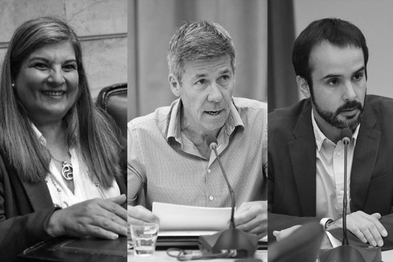 Digo una cosa, hago otra: la doble identidad de la oposición en La Pampa